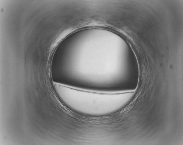 X0000060801367200511100959