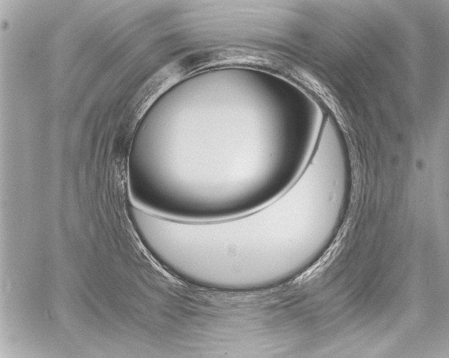X0000060801377200511100959