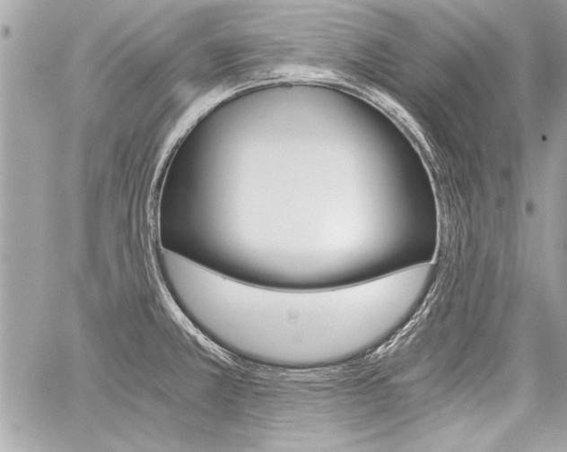 X0000060801381200511100959
