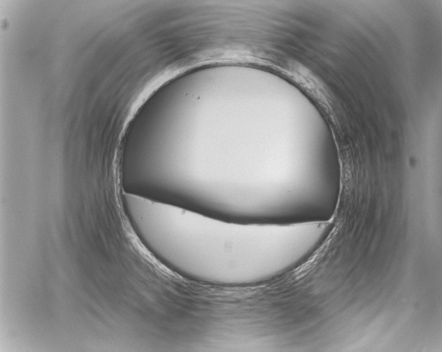 X0000060801382200511100959