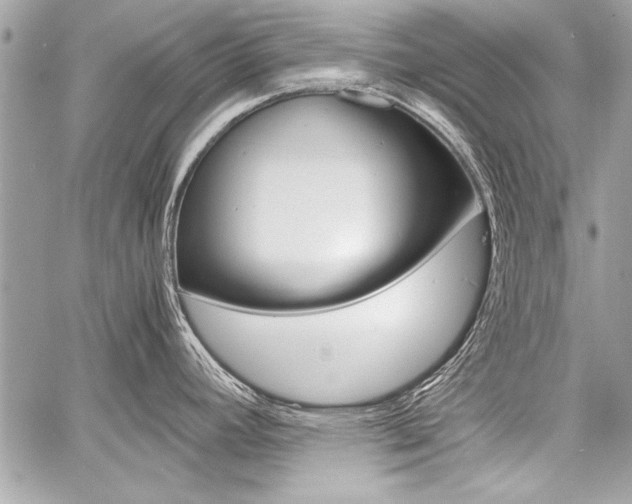 X0000060801392200511100959