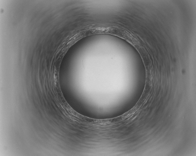 X0000060801394200511100958
