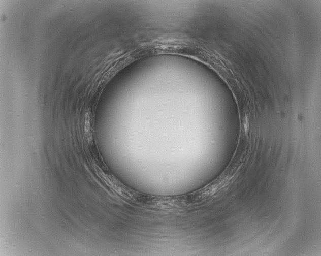 X0000060801396200511100958