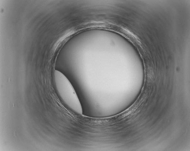 X0000060801411200511100958