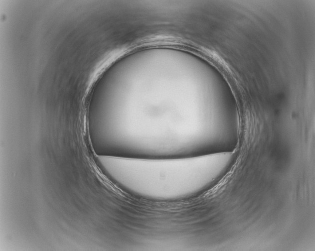 X0000060801413200511100958