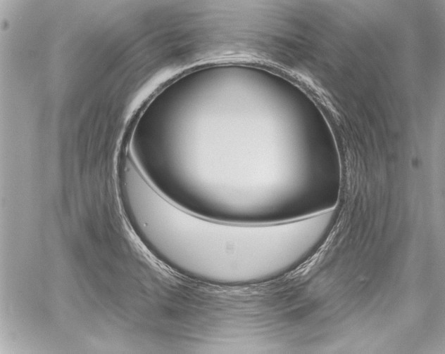 X0000060801422200511100958