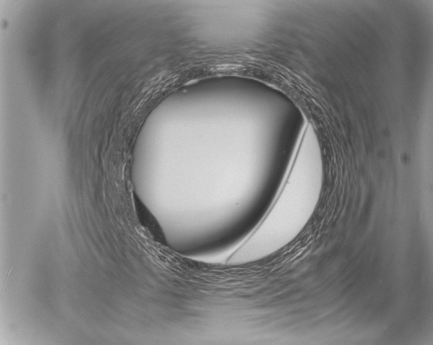 X0000060801441200511100958