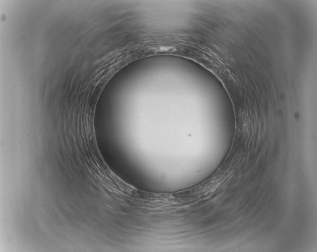 X0000060801442200511100958