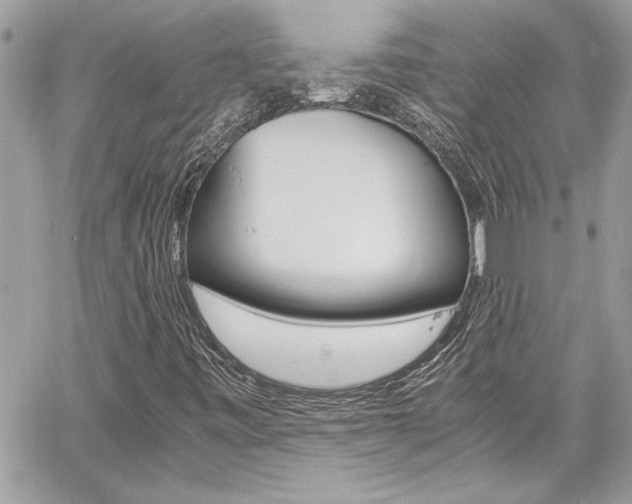 X0000060801443200511100958
