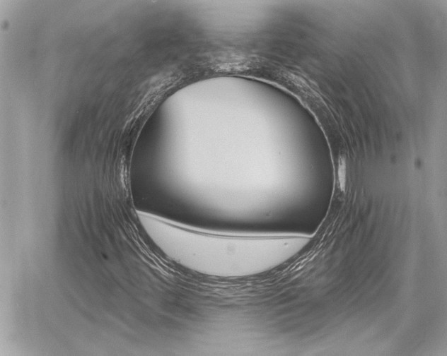 X0000060801444200511100958