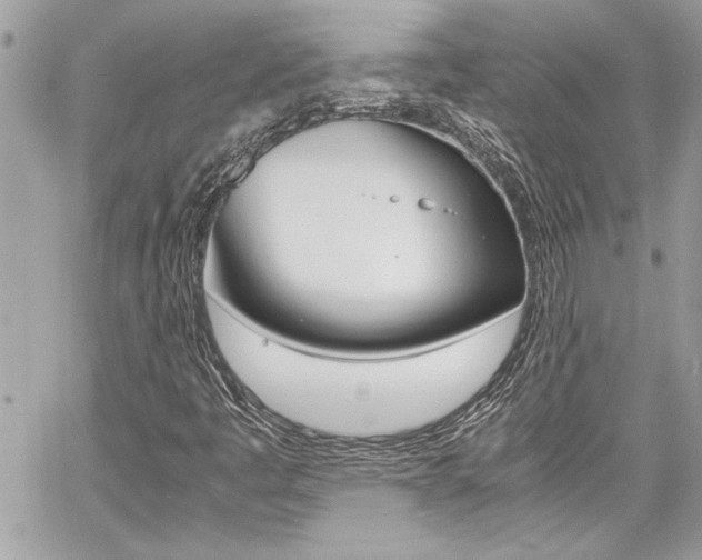 X0000060801445200511100958