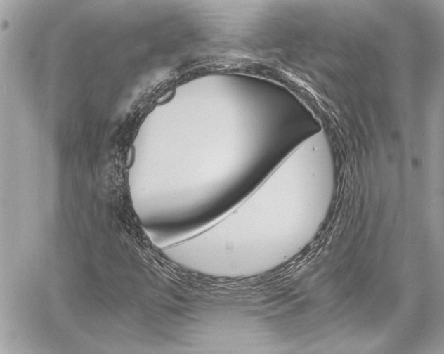 X0000060801447200511100958