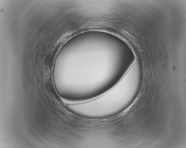 X0000060801449200511100958
