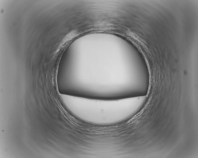 X0000060801451200511100958