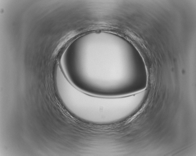 X0000060801453200511100957