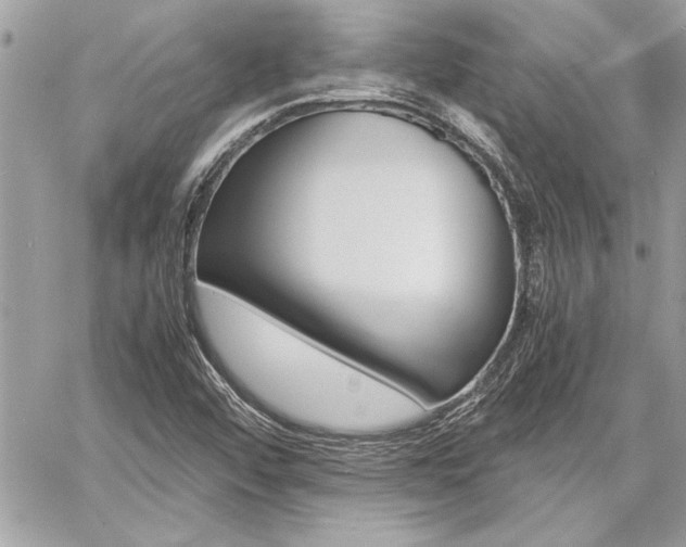 X0000060801456200511100957