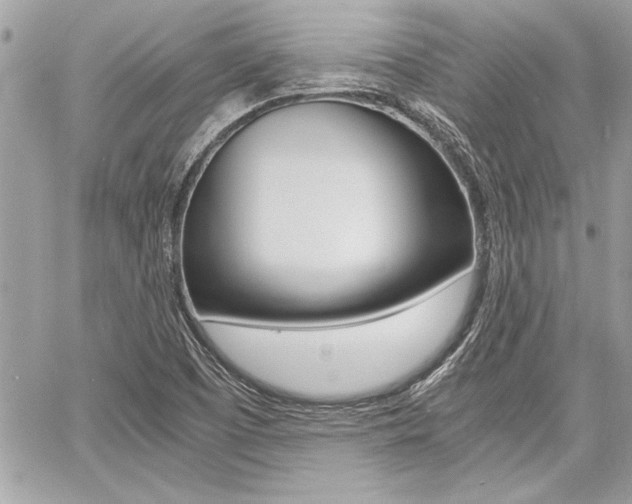 X0000060801457200511100957