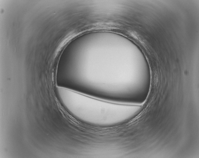 X0000060801459200511100957