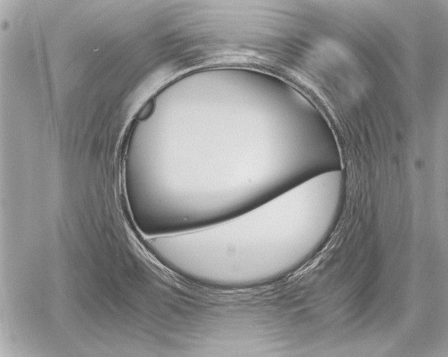 X0000060801467200511100957