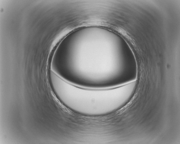 X0000060801469200511100957