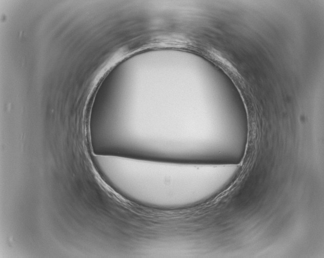 X0000060801471200511100957