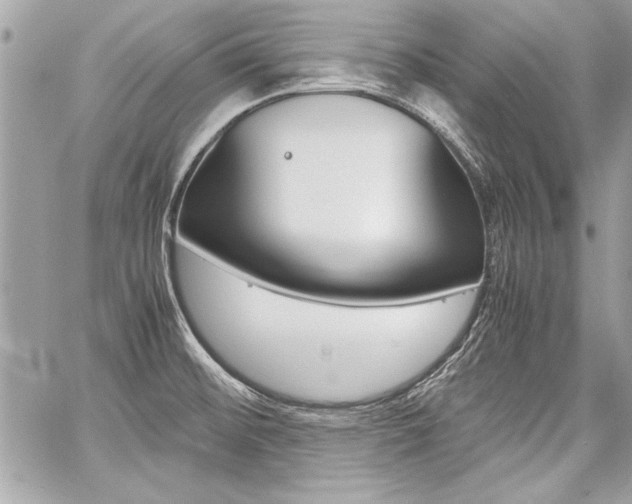 X0000060801476200511100957