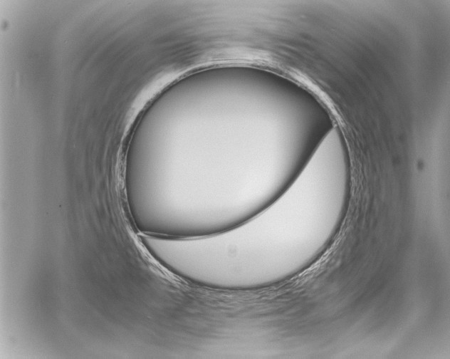X0000060801477200511100957