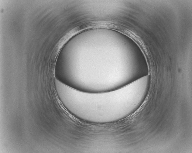 X0000060801481200511100957