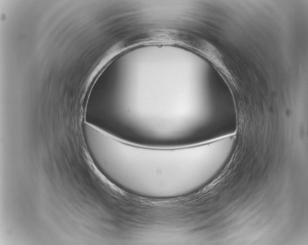 X0000060801484200511100957