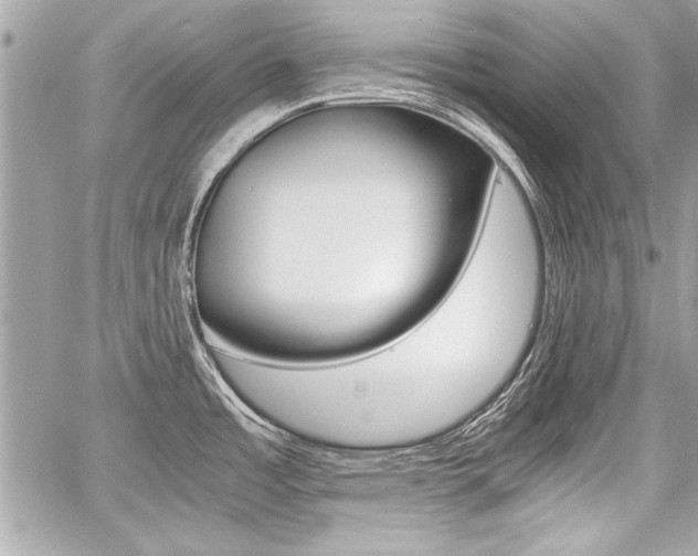 X0000060801485200511100957