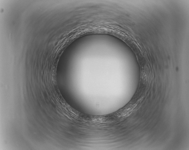 X0000060801490200511100956