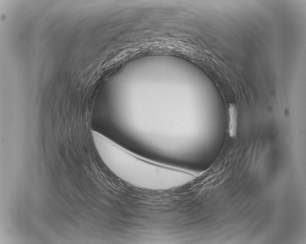 X0000060801491200511100956