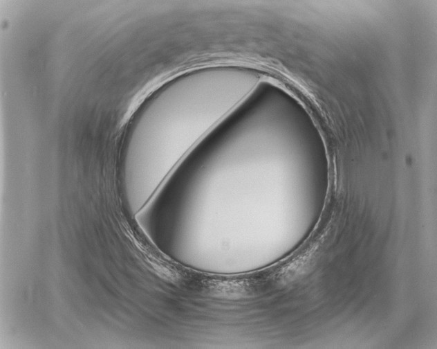 X0000060801501200511100956