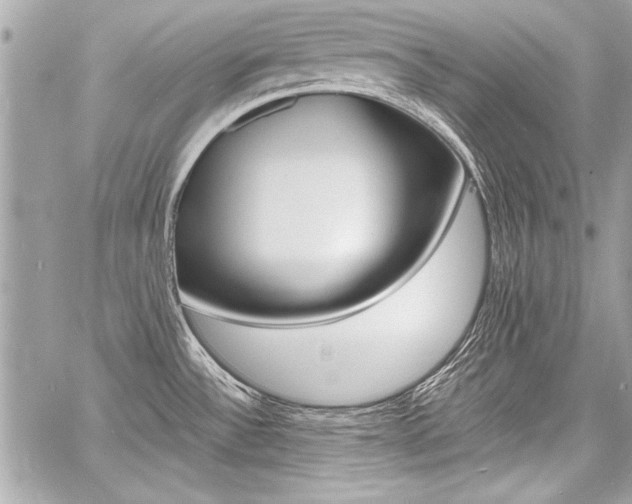 X0000060801532200511100957