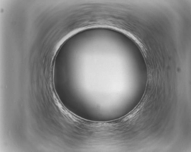 X0000060801534200511100957