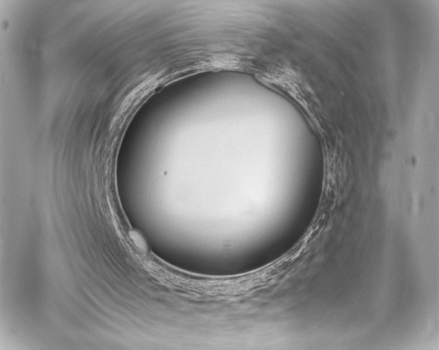 X0000060800001200511101431