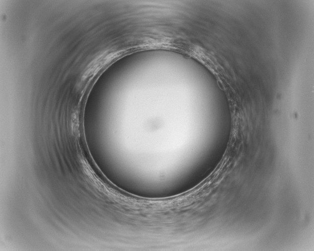 X0000060800002200511101431