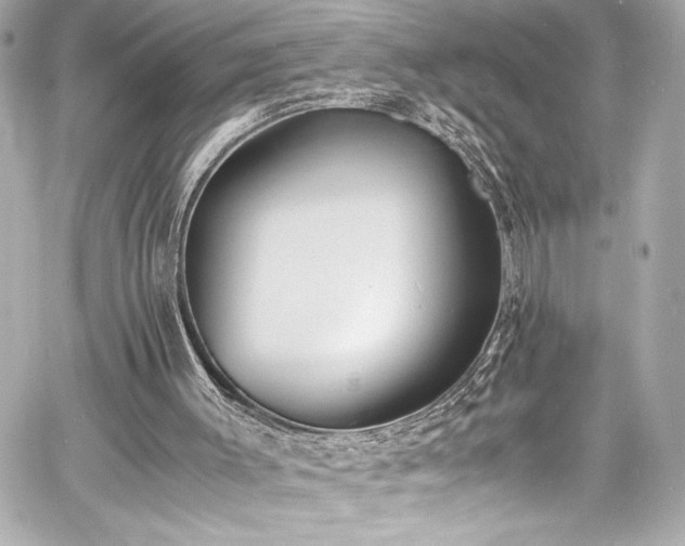 X0000060800003200511101431