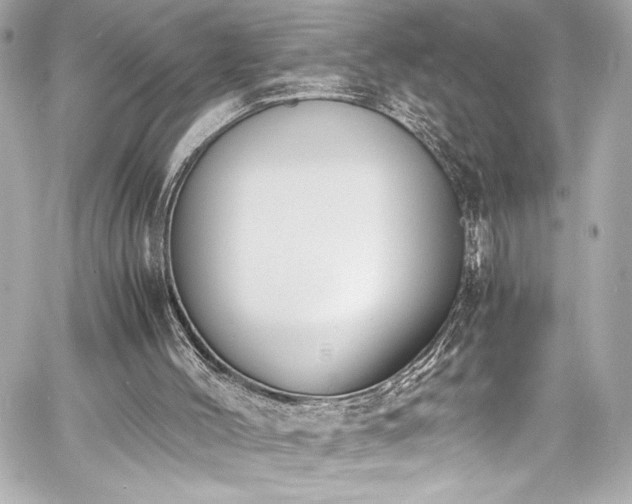 X0000060800004200511101431