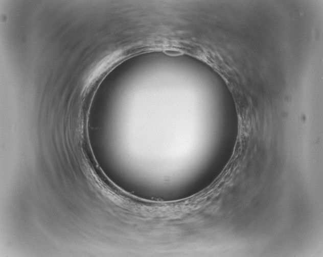 X0000060800005200511101431