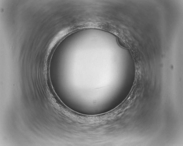 X0000060800006200511101431