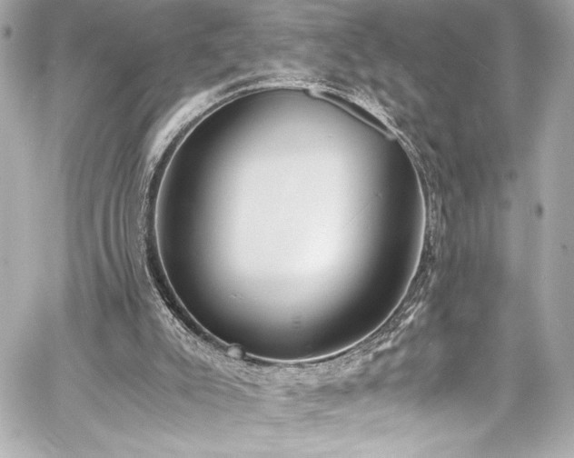 X0000060800007200511101431