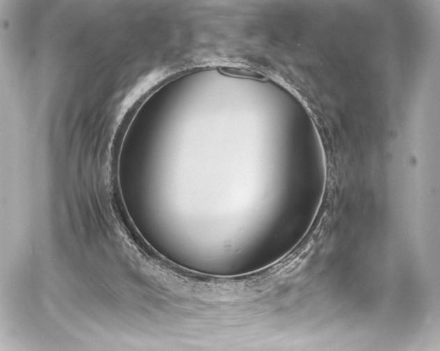 X0000060800008200511101431