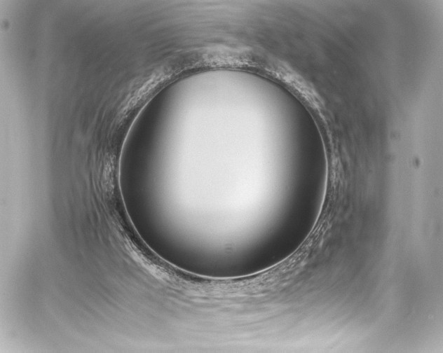 X0000060800009200511101431