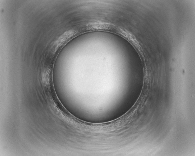 X0000060800010200511101431