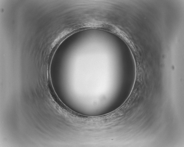 X0000060800011200511101431