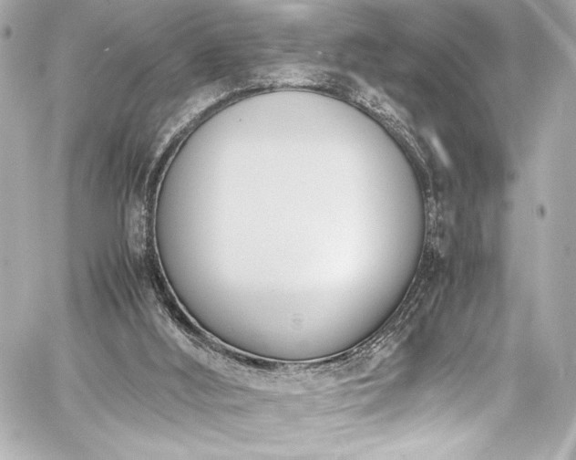 X0000060800012200511101431