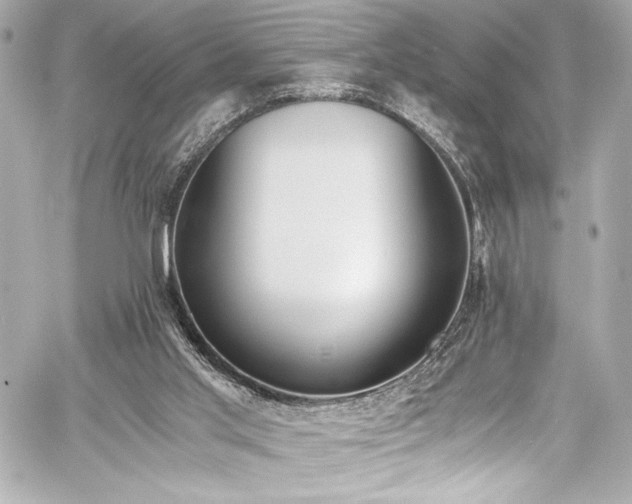 X0000060800013200511101431