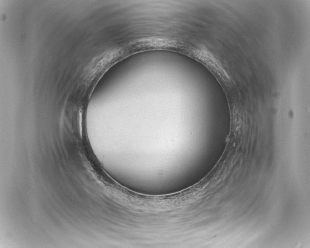 X0000060800014200511101431