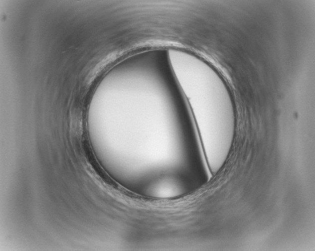 X0000060800015200511101431